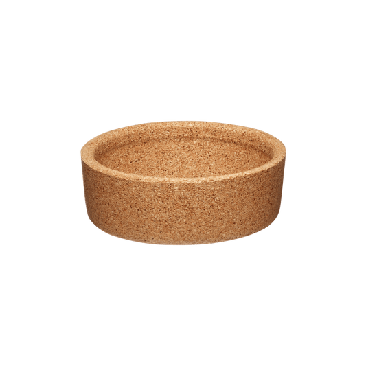 Cork Band - Glass - S/M/L